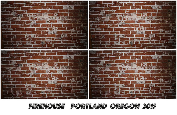 PDX-Firehouse-wedding-photo-booth (26)