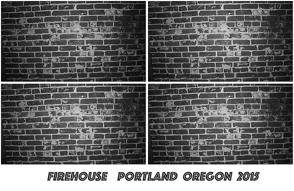PDX-Firehouse-wedding-photo-booth (27)