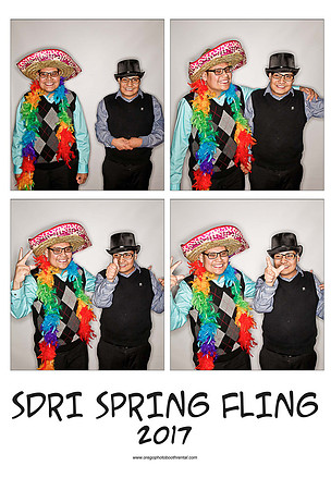 SDRI17prints_Page_04