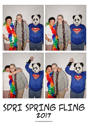 SDRI17prints_Page_05