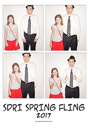 SDRI17prints_Page_10