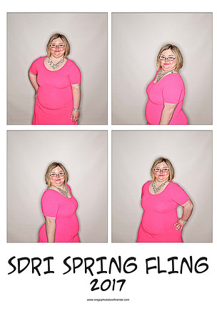 SDRI17prints_Page_14