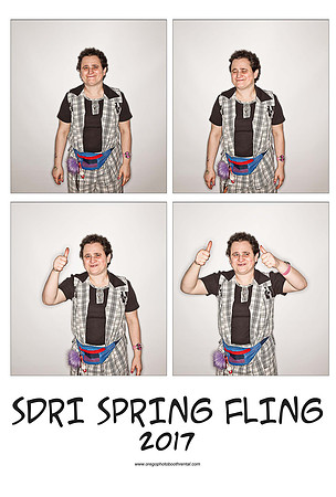 SDRI17prints_Page_15