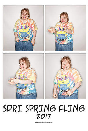 SDRI17prints_Page_13
