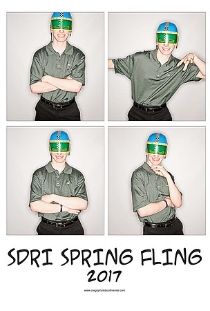 SDRI17prints_Page_17