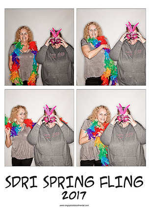 SDRI17prints_Page_19