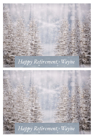WayneRetirement-046
